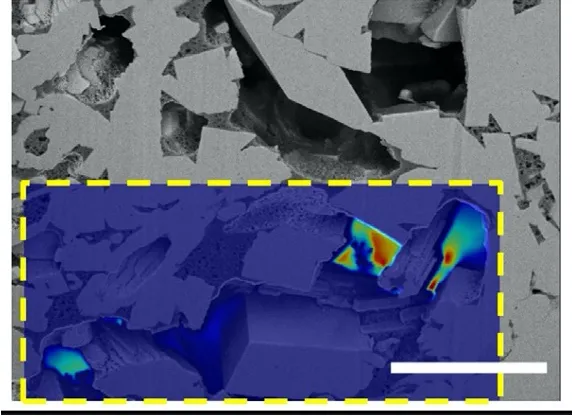 Close up of a mudrock matrix with an overlay of a computational fluid dynamics velocity field. Scale bar is a few micrometers. Image from Kelly et al., 2016.