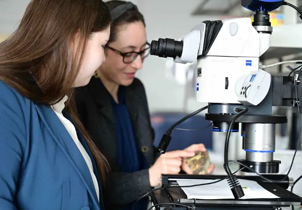 Microscopy 